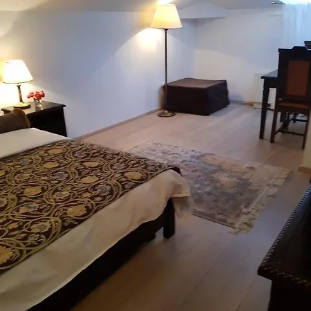 Pensiune Leonida - Leonida 4*