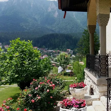 Leonida - Leonida 4* Buşteni